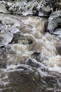 Natural ice sculptures on a stream, Emsland, Lower Saxony, Germany