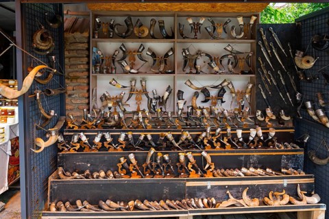 Souvenir stand with a large collection of traditional horns displayed on wooden shelves, Mtskheta,