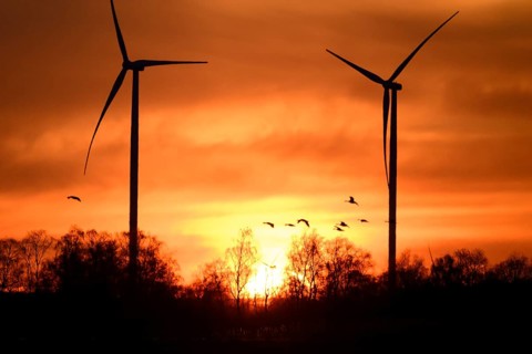 Wind turbines and flying birds geese in front of an orange sunset, silhouettes of wind turbines in