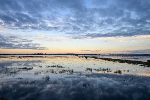 Wide water landscape with cloudy sky at sunset Moist meadows in Ochsenmoor during high tide, Dümmer