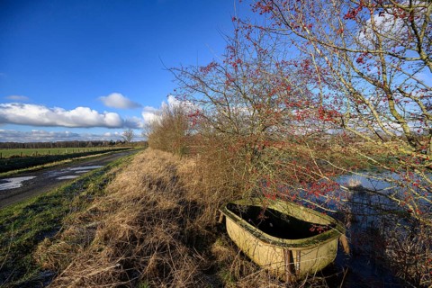 Old drinking trough at the edge of a path next to hawthorn bushes (Crataeguzs monogyna) under a