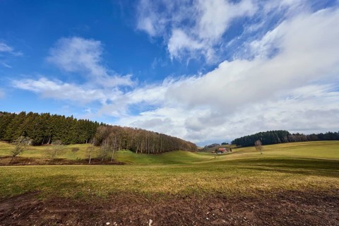 Landscape photography, hilly landscape, hills, coniferous forest, trees, meadow, cloud shadow, blue