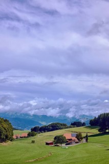 Landscape photography, hilly landscape, hills, coniferous forest, meadow, trees, homestead, haze,