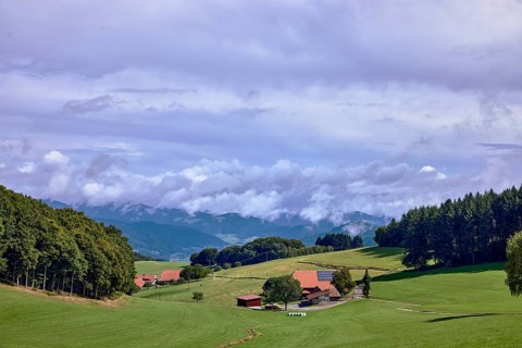 Landscape photography, hilly landscape, hills, coniferous forest, meadow, trees, homestead, haze,