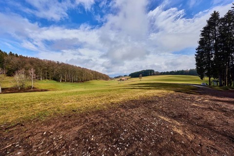 Hilly landscape, hills, coniferous forest, meadow, trees, cloud shadows, blue sky, cumulus clouds,