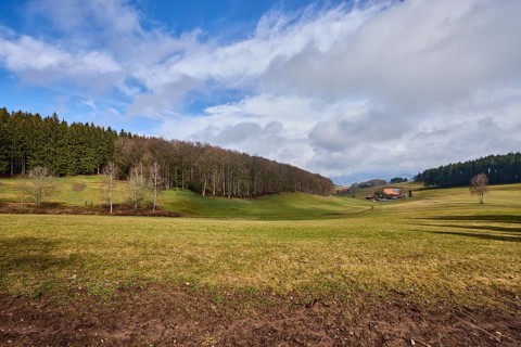 Landscape photography, hilly landscape, hills, meadow, coniferous forest, trees, cloud shadows,