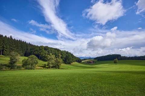 Landscape, landscape photography, hills, coniferous forest, meadow, blue sky, cumulus clouds,