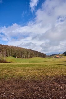 Landscape photography, hilly landscape, hills, meadow, coniferous forest, trees, cloud shadows,