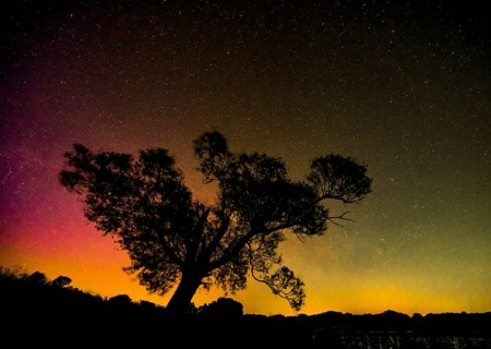 Northern lights aurora borealis over an old pasture on the Hunte dyke, Dümmerniederung nature park