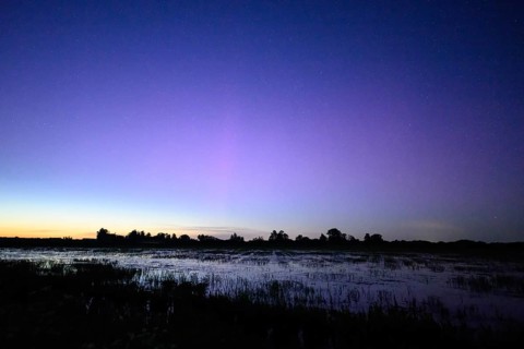 Tranquil landscape at dusk with blue-purple sky over pond meadows on Ochsenmoor, silhouettes of