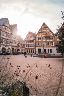 Historic half-timbered houses in a sunny old town atmosphere, with a relaxed and cozy atmosphere,