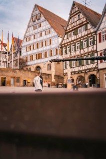 Historic half-timbered houses and a fountain in an old town with flags, Herrenberg, Böblingen