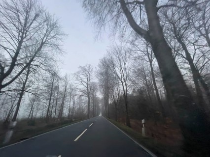 Driver's perspective view of foggy, foggy country road with trees next to the road in thick fog in