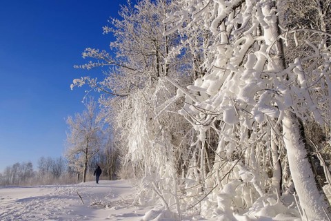 Winter landscape, snow, trees, path, individual walker, Winterberg, North Rhine-Westphalia,