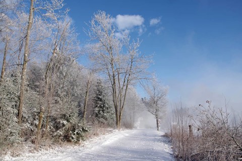Winter, snow, trees, trail, Winterberg, North Rhine-Westphalia, Germany, The beautiful weather with