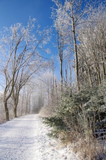 Winter landscape, snow, trees, path, Winterberg, North Rhine-Westphalia, Germany, A lonely snowy