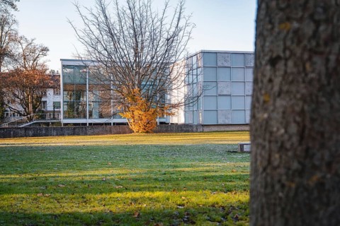 Modern building behind a tree in an autumn park at morning sun, Reuchlinhaus, Stadtgarten