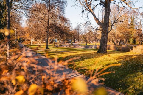 Park landscape in autumn with trees and leaves along a path, Stadtgarten Pforzheim, Germany