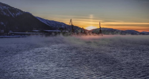 Cranes on the river at sunset and fog, Mo i Rana, Norway
