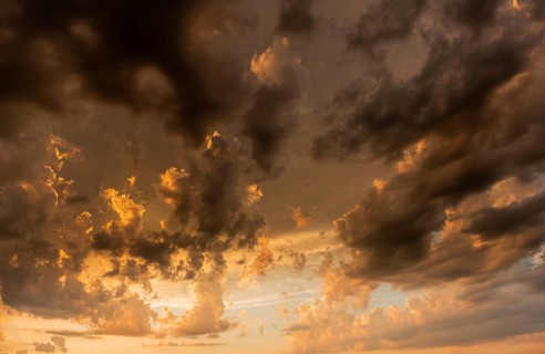 A brilliant sunset casts warm colors across a cheerful meadow. Dark clouds dominate the sky, while