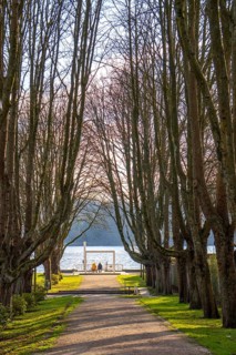 Winter at Lake Baldeney in Essen, Strandbad boat stop, closed in winter, tree-lined avenue leading