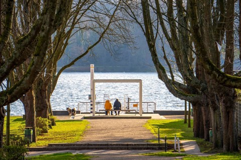 Winter at Lake Baldeney in Essen, Strandbad boat stop, closed in winter, tree-lined avenue leading