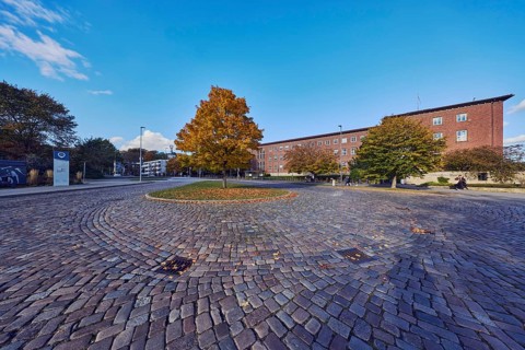 Norway maple (Acer platanoides), brick building, Ministry of Finance, street, central island, bus