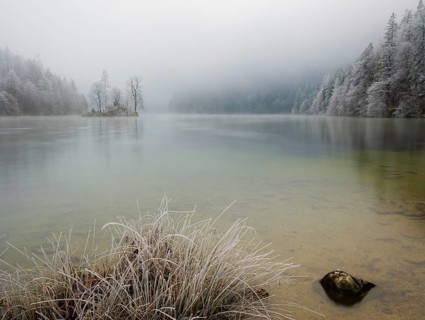 View across Königssee to Christlieger Island and frozen trees in fog, Schönau am Königssee,