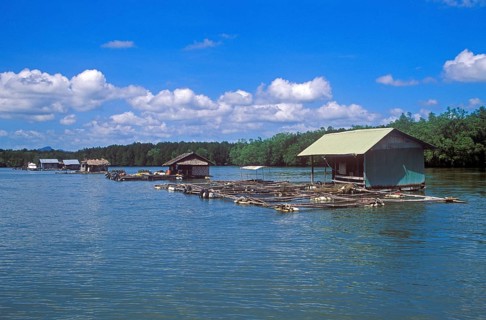 Fish farms in the tidal river near Krabbi, two years in front of the tsunami, Thailand, December