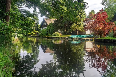 Canal or Spreewaldfließ in the Spreewald near Lübbenau/Spreewald, Brandenburg, Germany