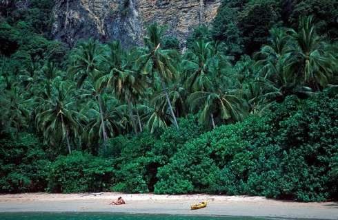 Palm trees, people, kayak, Ao Nang beach, two years in front of the tsunami, Krabi, Thailand,