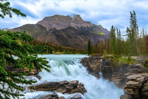 Athabasca falls cascades powerfully through a scenic gorge in jasper national park, alberta,
