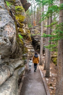 Mother and child enjoying a leisurely walk along a paved path, surrounded by lush green trees and