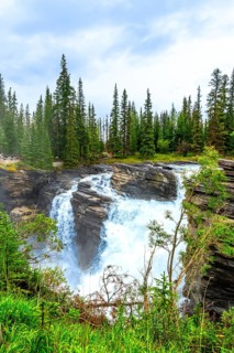 Powerful athabasca falls cascades over rocky cliffs in jasper national park, alberta, canada,