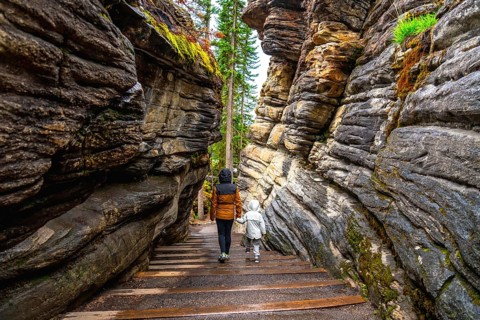 Tourists walking down wooden stairs surrounded by towering rock formations and lush greenery at