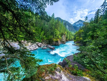 The turquoise water of the fraser river flows through a lush green forest, framed by majestic
