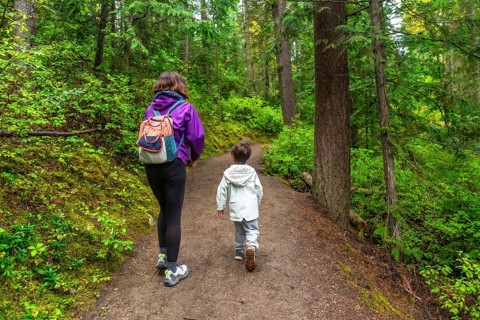 Mother and son are enjoying a leisurely hike along a tranquil forest path, surrounded by vibrant
