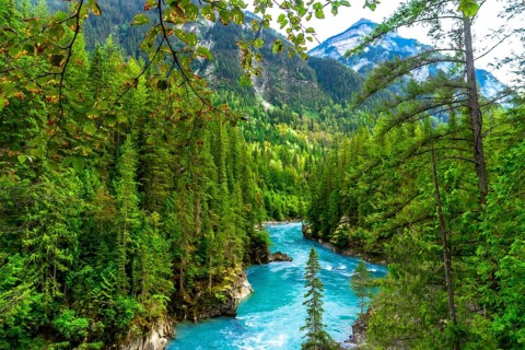 Turquoise water flows through a canyon surrounded by a lush green forest with mountains in the