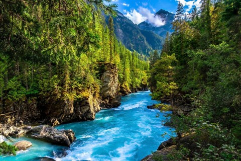 Turquoise water flows rapidly through a canyon surrounded by lush green forest and mountains in