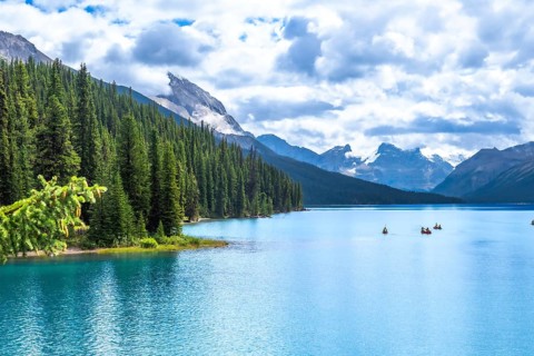 Tourists canoeing on turquoise maligne lake, surrounded by pine forests and snow capped mountains,