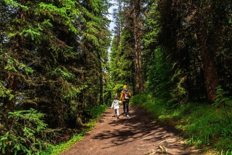 Mother and child walking on a path in a lush green forest near maligne lake in jasper national