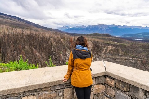 Hiker wearing a yellow jacket is enjoying the view of a burned forest and mountains in jasper