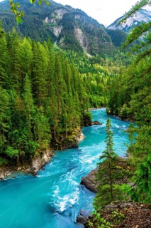 Turquoise water flows through a canyon surrounded by a lush green forest in mount robson provincial