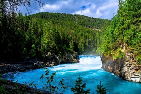 Flowing turquoise water of the fraser river winds through a lush green forest toward overlander