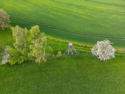 Aerial view, drone photo: Green landscape with trees, raised stand and blooming cherry tree,