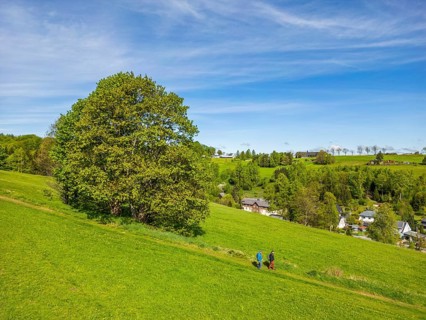 Aerial view, drone photo: Two hikers walk down the ridge trail through the Ore Mountains, health