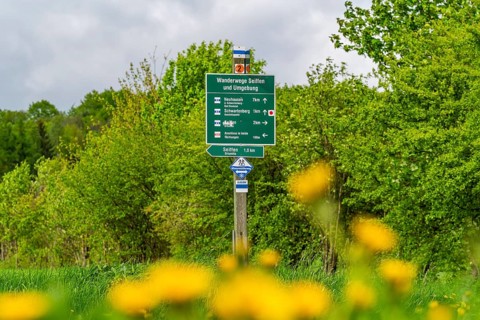 Hiking trail signs and flowers on the ridge trail through the Ore Mountains, health resort and toy