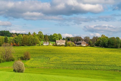 Individual farms on the edge of a blooming rapeseed field, ridge path through the Ore Mountains,