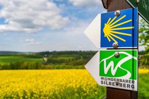 Hiking trail of the Silberberg Way of St. James and the Wanderbarer Silberberg circular trail, in