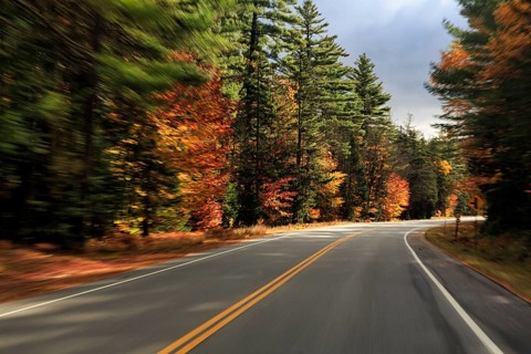 Winding country road through forest, autumn leaves, Indian summer, sunny fall weather, smudge
